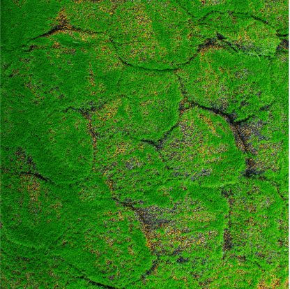 Covor muschi artificial de padure, Naimeed D6542, pentru decorare interioara sau exterioara, Verde, 1000x1000x20mm