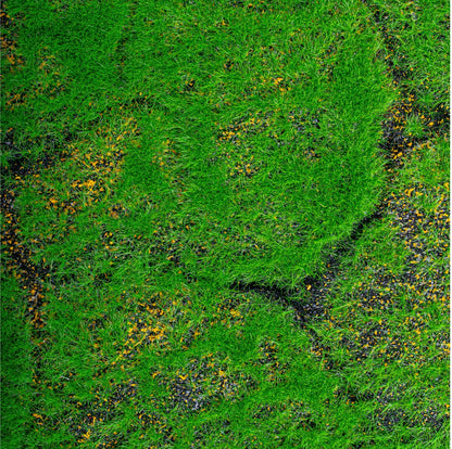 Covor muschi artificial de padure, Naimeed D6542, pentru decorare interioara sau exterioara, Verde, 1000x1000x20mm