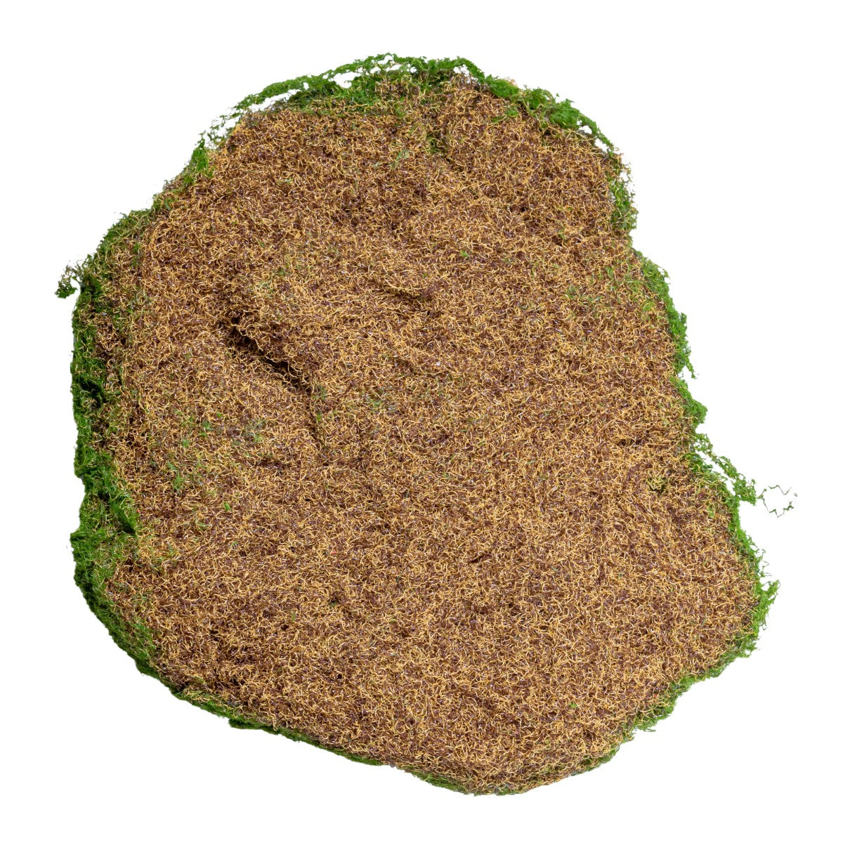 Set 3 muschi artificial de padure, Naimeed D6548, pentru decorare interioara sau exterioara, Verde, 50x3.5cm; 40x3.5cm; 30x3.5cm