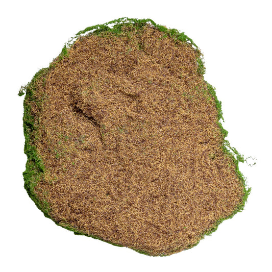 Set 3 muschi artificial de padure, Naimeed D6548, pentru decorare interioara sau exterioara, Verde, 50x3.5cm; 40x3.5cm; 30x3.5cm