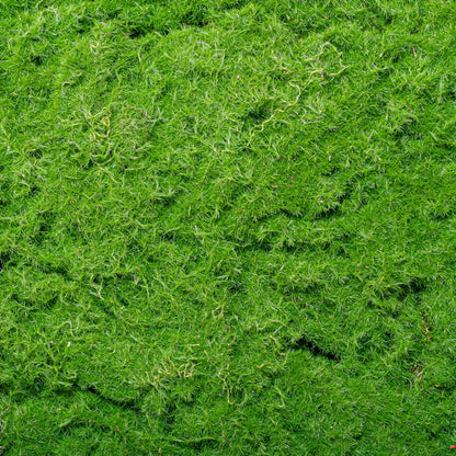 Set 3 muschi artificial de padure, Naimeed D6548, pentru decorare interioara sau exterioara, Verde, 50x3.5cm; 40x3.5cm; 30x3.5cm