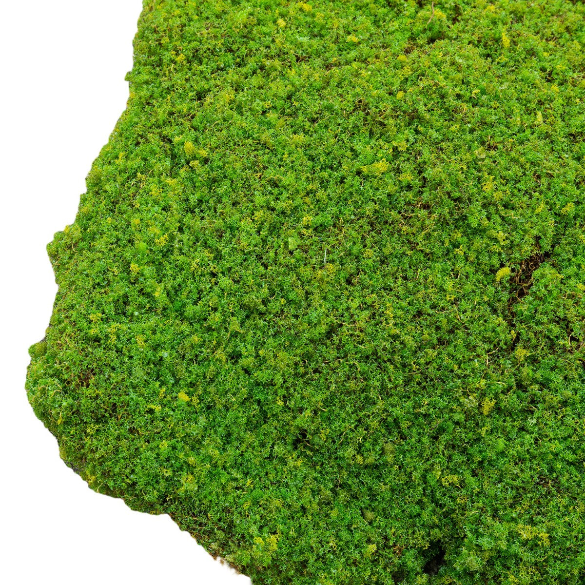 Set 3 muschi artificial de padure, Naimeed D6549, pentru decorare interioara sau exterioara, Verde, 50x3.5cm; 40x3.5cm; 30x3.5cm