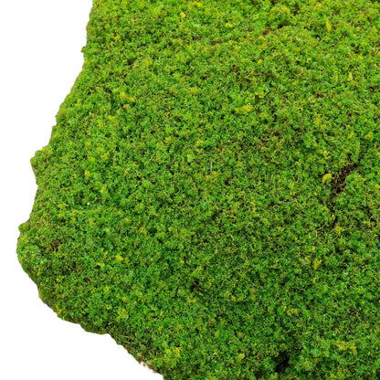 Set 3 muschi artificial de padure, Naimeed D6549, pentru decorare interioara sau exterioara, Verde, 50x3.5cm; 40x3.5cm; 30x3.5cm