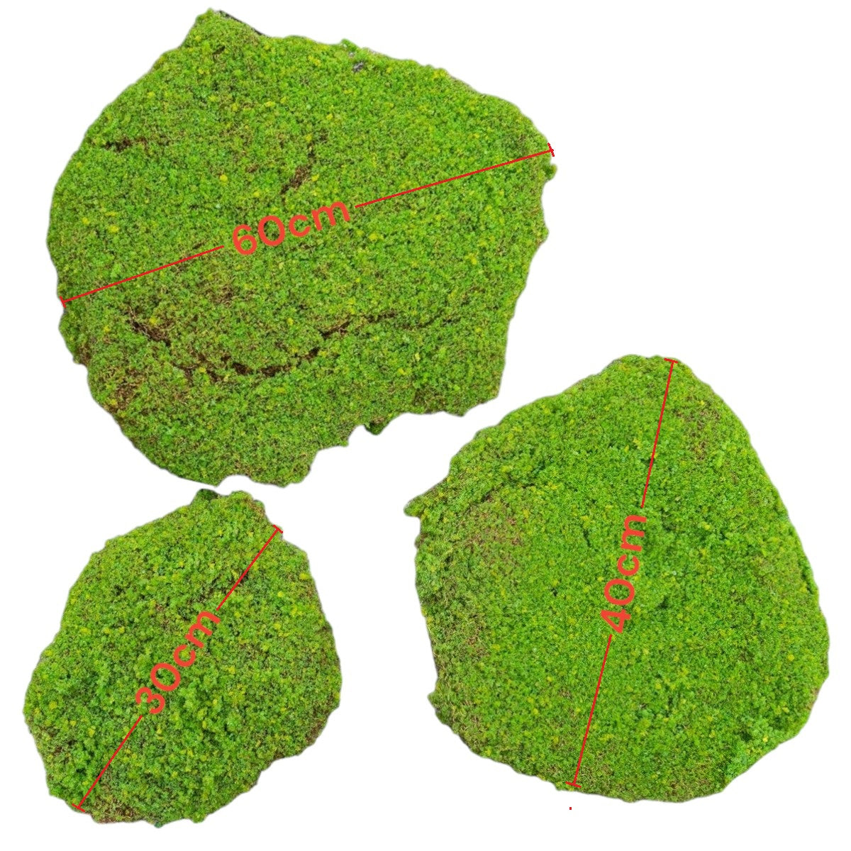 Set 3 muschi artificial de padure, Naimeed D6549, pentru decorare interioara sau exterioara, Verde, 50x3.5cm; 40x3.5cm; 30x3.5cm