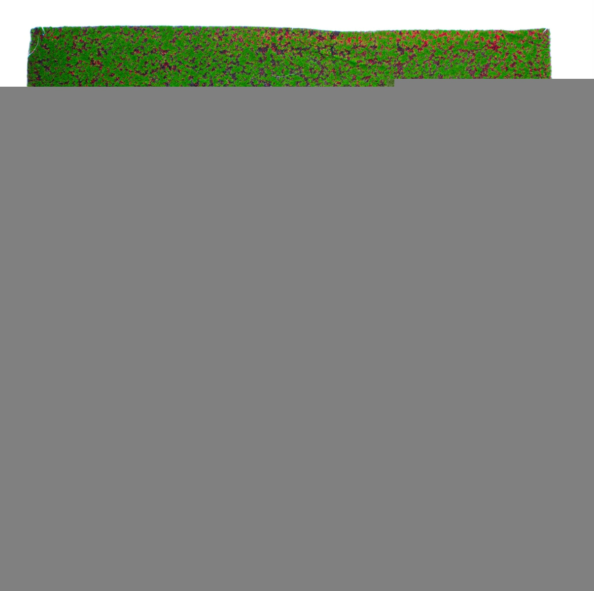 Covor muschi artificial de padure, Naimeed D6553, pentru decorare interioara sau exterioara, Verde, 1000x1000x20mm