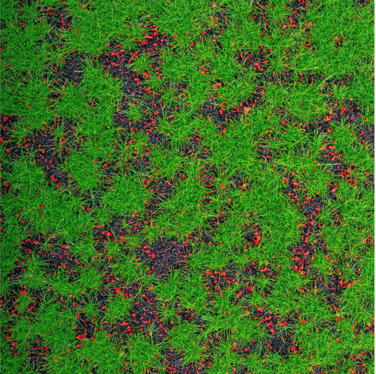 Covor muschi artificial de padure, Naimeed D6553, pentru decorare interioara sau exterioara, Verde, 1000x1000x20mm