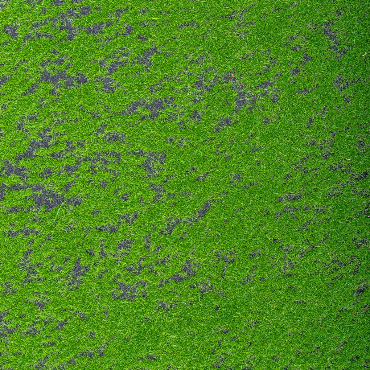 Covor muschi artificial de padure, Naimeed D6554, pentru decorare interioara sau exterioara, Verde, 1000x1000x10mm