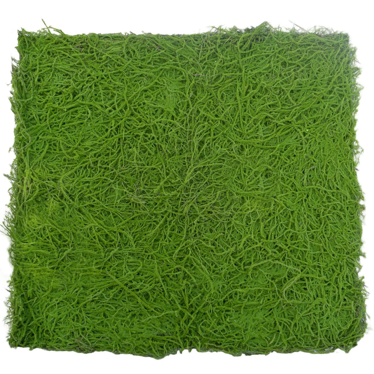 Covor muschi artificial de padure, Naimeed D6555, pentru decorare interioara sau exterioara, Verde, 1000x1000x30mm