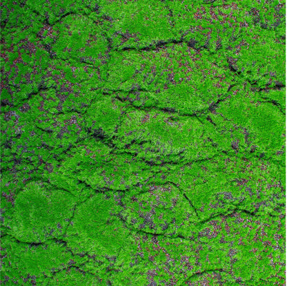Covor muschi artificial de padure, Naimeed D6556, pentru decorare interioara sau exterioara, Verde, 1000x2000x30mm