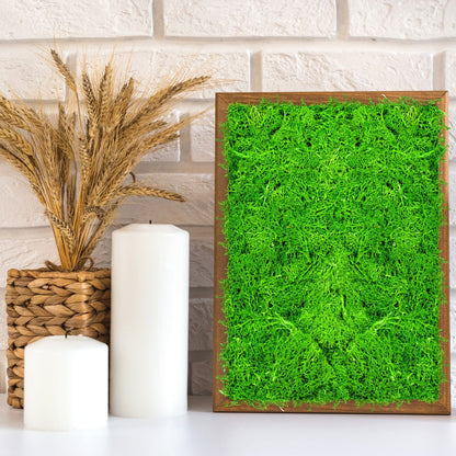Licheni Premium naturali, stabilizati, Naimeed D6561, pentru decoratiuni hand made, biodegradabili, 500g