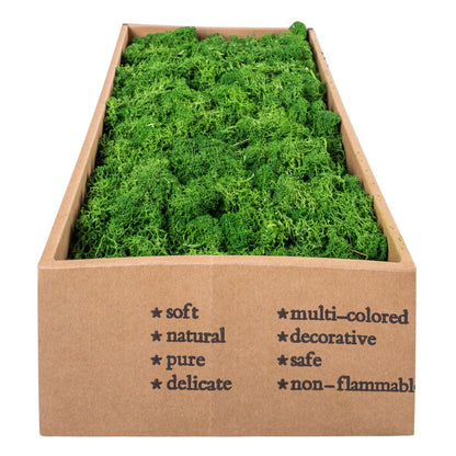 Licheni Premium naturali, stabilizati, Naimeed D6566, pentru decoratiuni hand made, biodegradabili, 500g