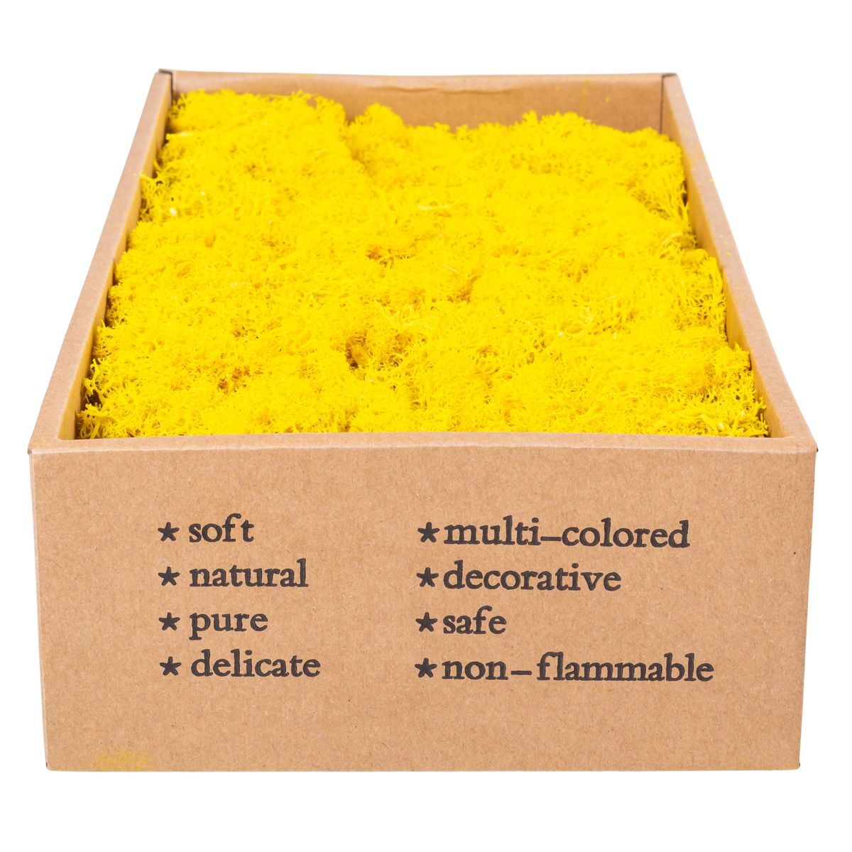 Licheni Premium naturali, stabilizati, Naimeed D6567, pentru decoratiuni hand made, biodegradabili, 500g