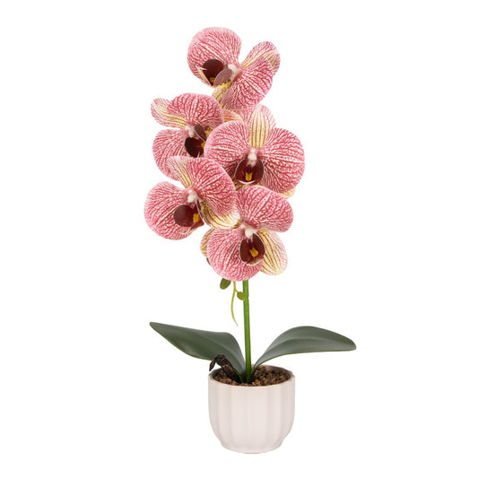 Orhidee cu aspect natural in ghiveci ceramic, 42 cm, Naimeed D6879, Roz