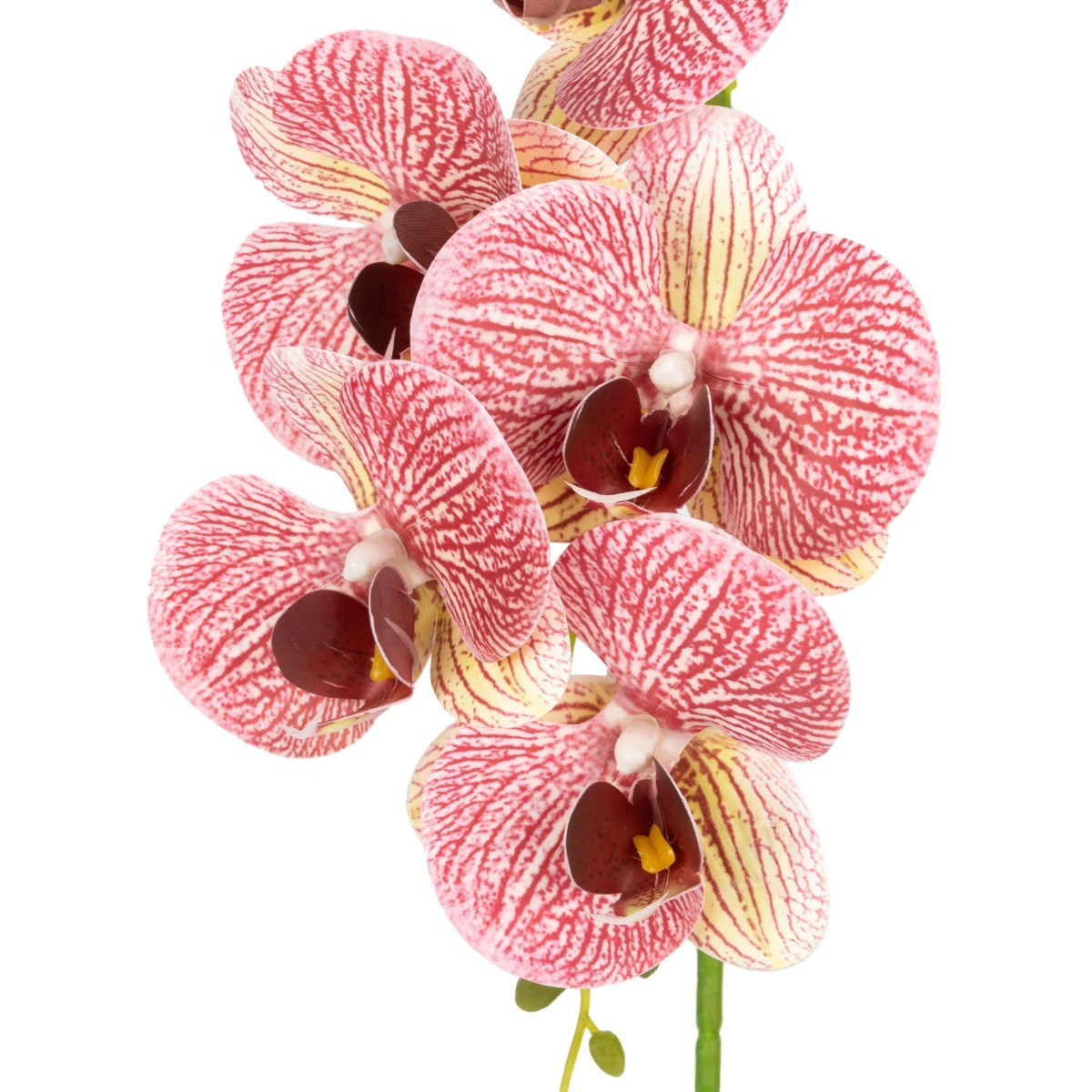 Orhidee cu aspect natural in ghiveci ceramic, 42 cm, Naimeed D6879, Roz