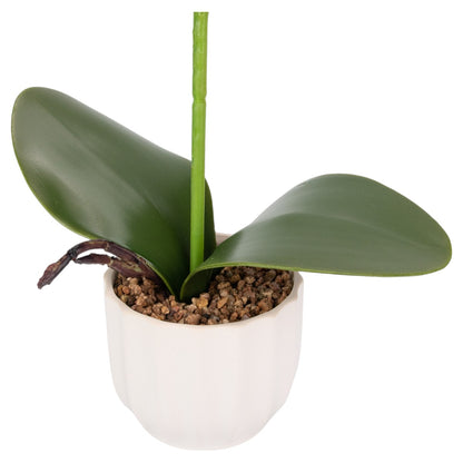 Orhidee cu aspect natural in ghiveci ceramic, 42 cm, Naimeed D6879, Roz