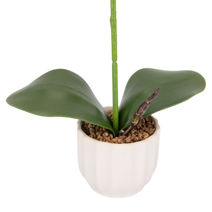 Orhidee cu aspect natural in ghiveci ceramic, 42 cm, Naimeed D6880, Alb
