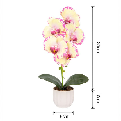 Orhidee cu aspect natural in ghiveci ceramic, 42 cm, Naimeed D6881, Galben pal