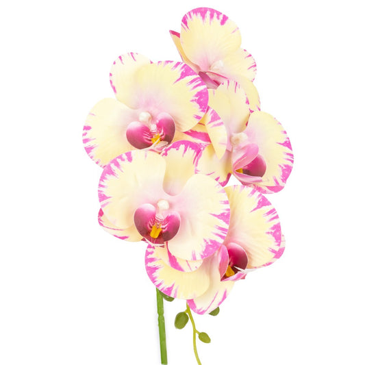 Orhidee cu aspect natural in ghiveci ceramic, 42 cm, Naimeed D6881, Galben pal