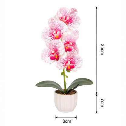 Orhidee cu aspect natural in ghiveci ceramic, 42 cm, Naimeed D6882, Alb-roz