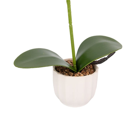 Orhidee cu aspect natural in ghiveci ceramic, 42 cm, Naimeed D6882, Alb-roz