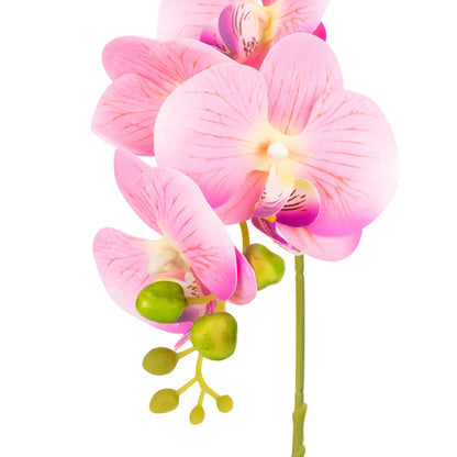 Orhidee cu aspect natural in ghiveci ceramic, 41 cm, Naimeed D6883, Roz