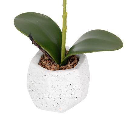 Orhidee cu aspect natural in ghiveci ceramic, 41 cm, Naimeed D6883, Roz