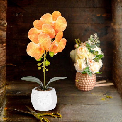 Orhidee cu aspect natural in ghiveci ceramic, 41 cm, Naimeed D6885, Portocaliu