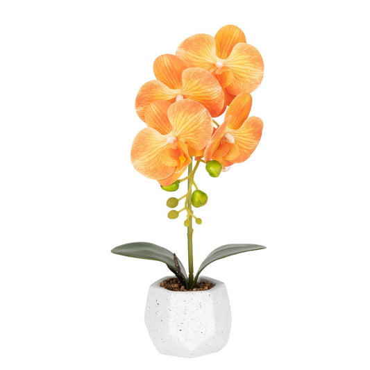 Orhidee cu aspect natural in ghiveci ceramic, 41 cm, Naimeed D6885, Portocaliu