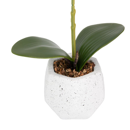 Orhidee cu aspect natural in ghiveci ceramic, 41 cm, Naimeed D6885, Portocaliu