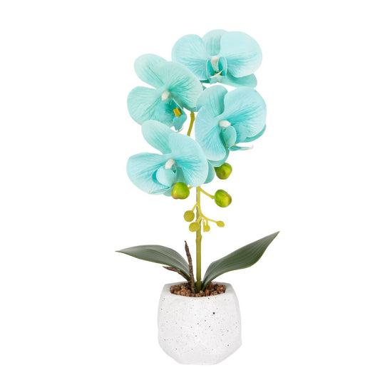 Orhidee cu aspect natural in ghiveci ceramic, 41 cm, Naimeed D6886, Turcoaz