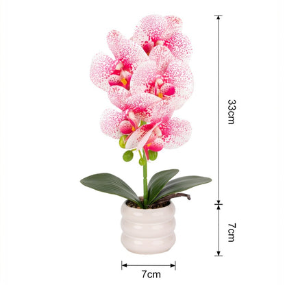 Orhidee cu aspect natural in ghiveci ceramic, 40 cm, Naimeed D6888, Alb-roz
