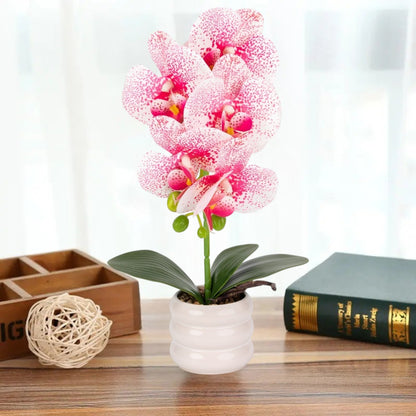 Orhidee cu aspect natural in ghiveci ceramic, 40 cm, Naimeed D6888, Alb-roz