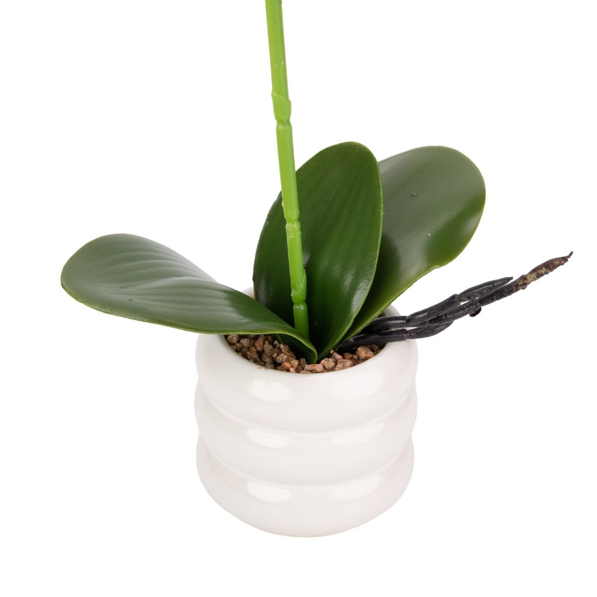 Orhidee cu aspect natural in ghiveci ceramic, 40 cm, Naimeed D6889, Fucsia