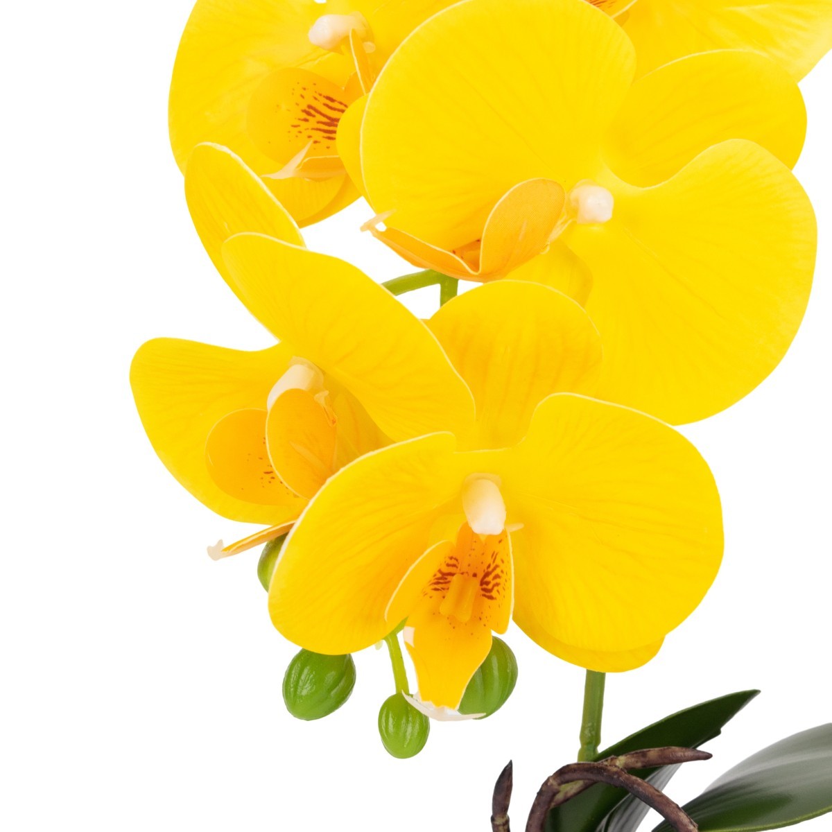 Orhidee cu aspect natural in ghiveci ceramic, 40 cm, Naimeed D6890, Galben
