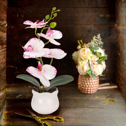 Orhidee cu aspect natural in ghiveci ceramic, 49 cm, Naimeed D6892, Alb-roz