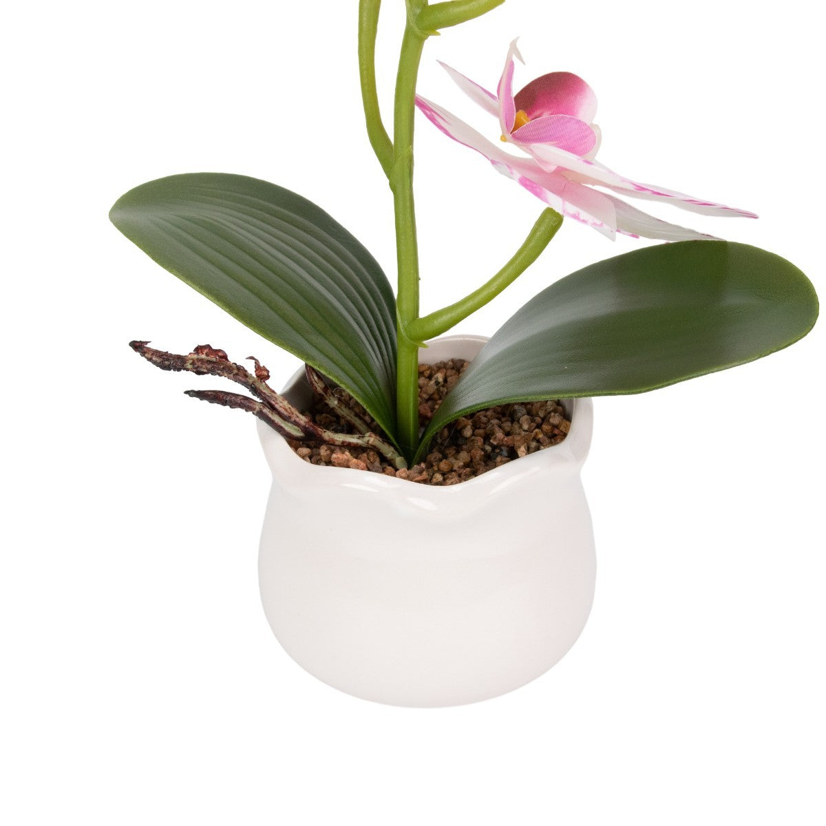 Orhidee cu aspect natural in ghiveci ceramic, 49 cm, Naimeed D6892, Alb-roz