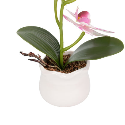 Orhidee cu aspect natural in ghiveci ceramic, 49 cm, Naimeed D6892, Alb-roz