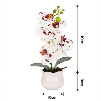 Orhidee cu aspect natural in ghiveci ceramic, 49 cm, Naimeed D6893, Alb-bordo