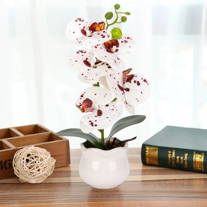 Orhidee cu aspect natural in ghiveci ceramic, 49 cm, Naimeed D6893, Alb-bordo