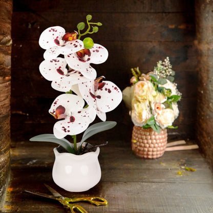 Orhidee cu aspect natural in ghiveci ceramic, 49 cm, Naimeed D6893, Alb-bordo