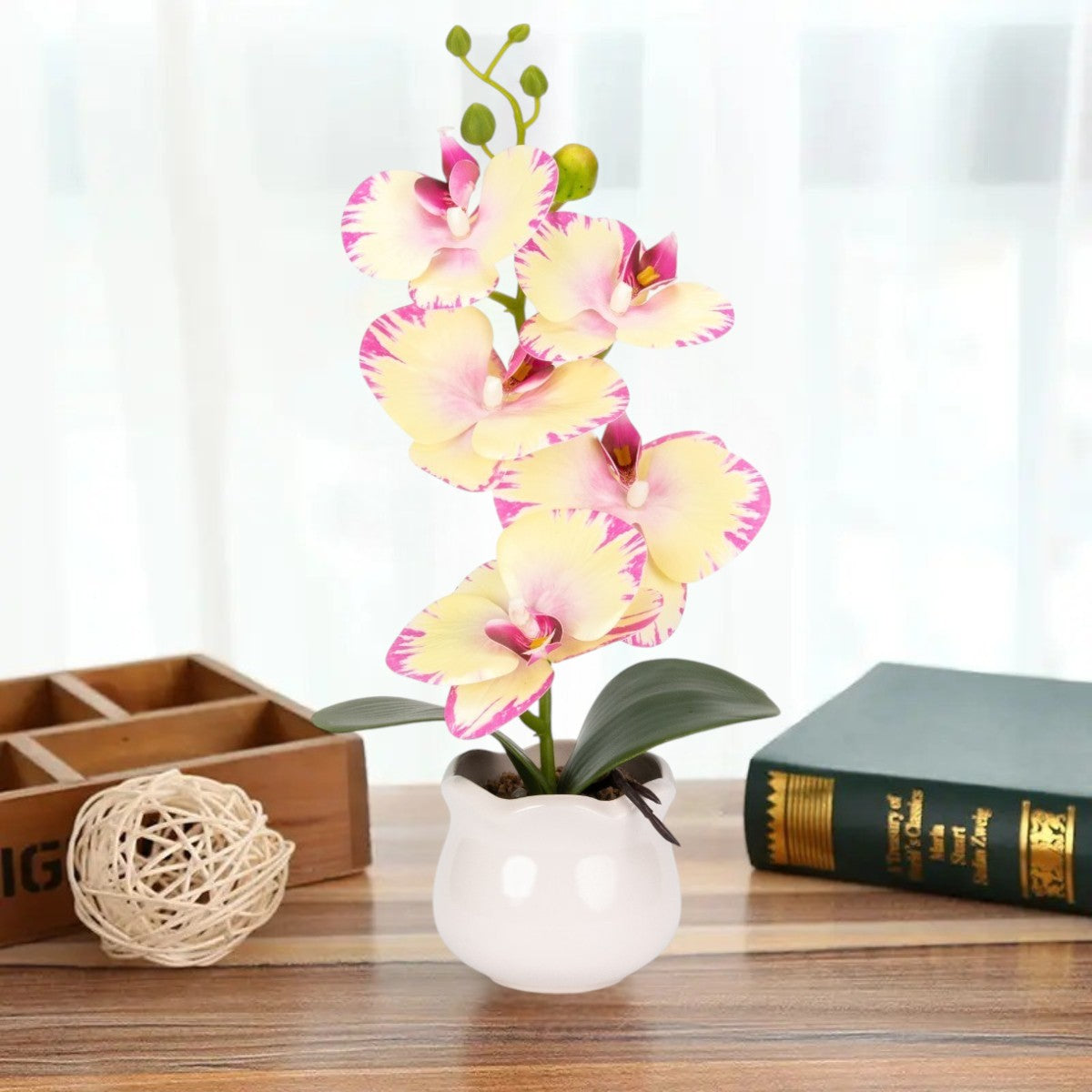 Orhidee cu aspect natural in ghiveci ceramic, 49 cm, Naimeed D6894, Galben pal