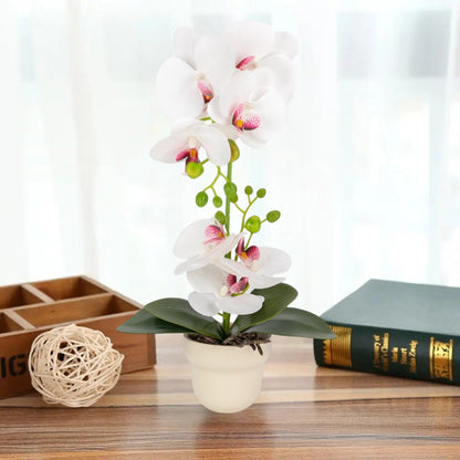 Orhidee cu aspect natural in ghiveci ceramic, 49 cm, Naimeed D6895, Alb