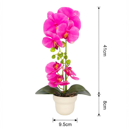 Orhidee cu aspect natural in ghiveci ceramic, 49 cm, Naimeed D6897, Fucsia