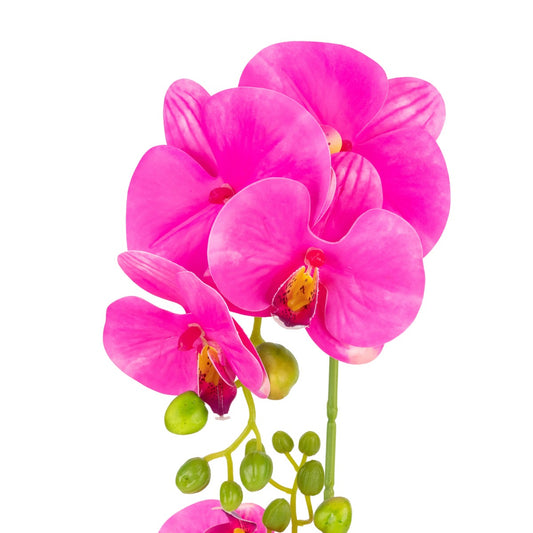 Orhidee cu aspect natural in ghiveci ceramic, 49 cm, Naimeed D6897, Fucsia