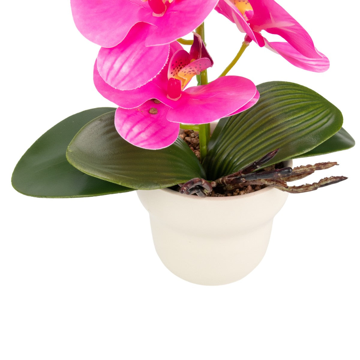 Orhidee cu aspect natural in ghiveci ceramic, 49 cm, Naimeed D6897, Fucsia