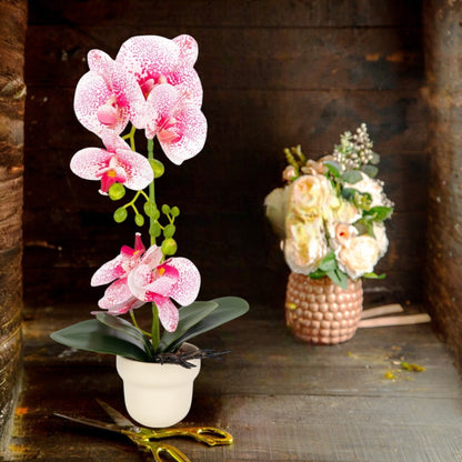 Orhidee cu aspect natural in ghiveci ceramic, 49 cm, Naimeed D6898, Roz/Alb