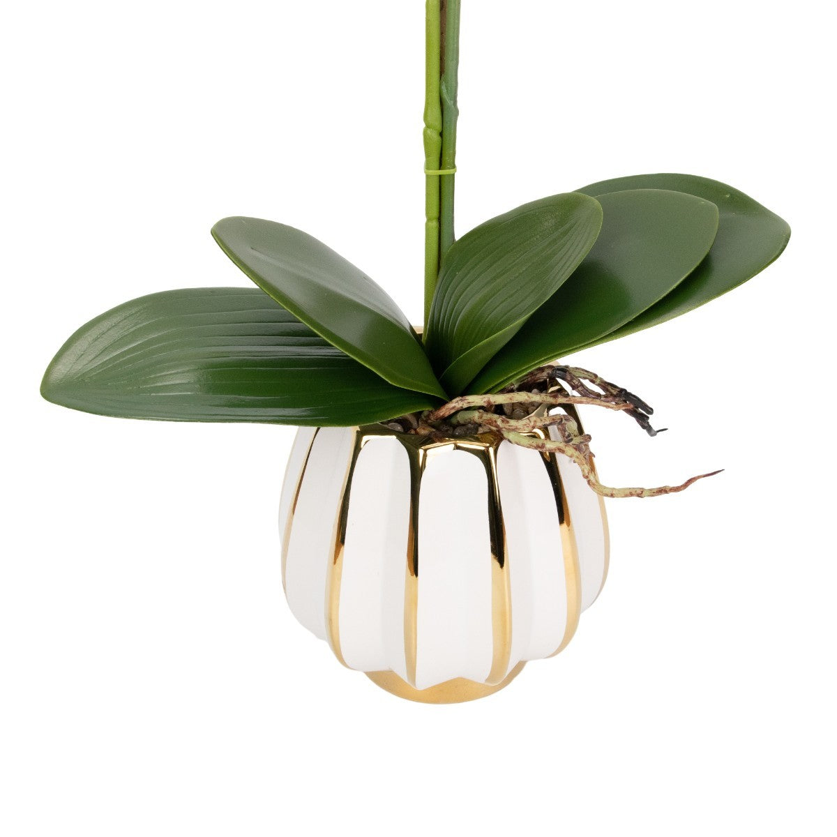 Orhidee cu aspect natural in ghiveci ceramic, 79 cm, Naimeed D6900, Alb
