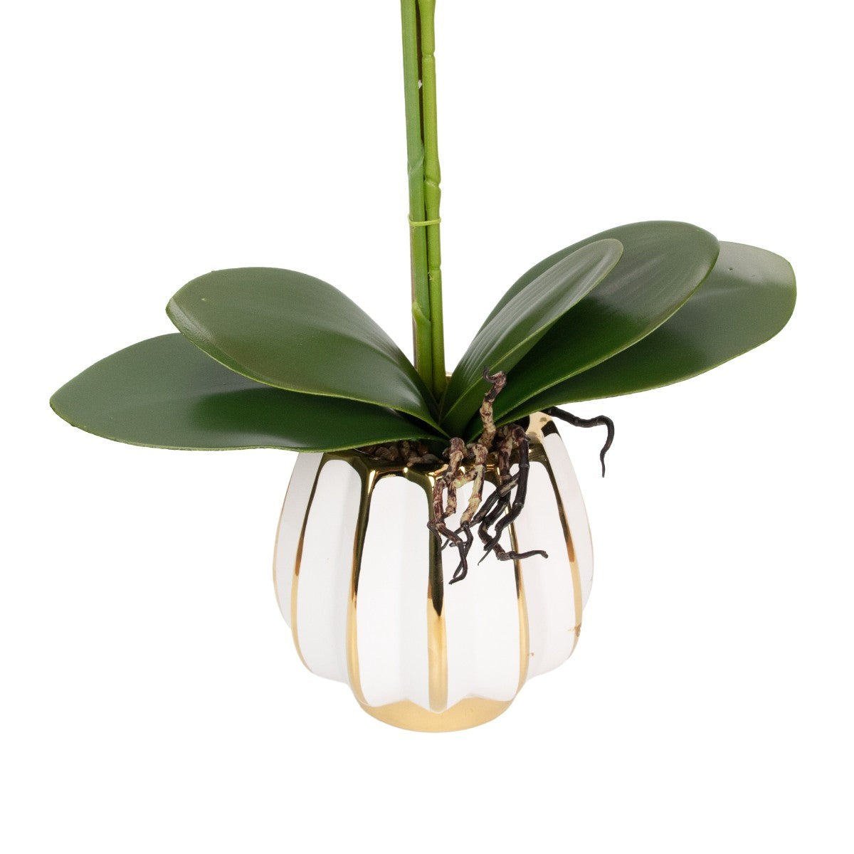 Orhidee cu aspect natural in ghiveci ceramic, 79 cm, Naimeed D6902, Fucsia