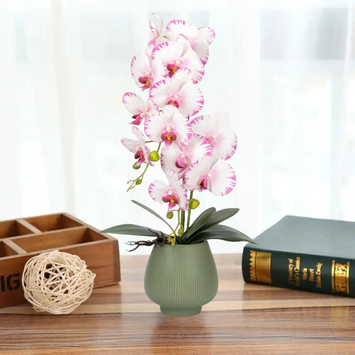 Orhidee cu aspect natural in ghiveci ceramic, 80 cm, Naimeed D6904, Roz/Verde