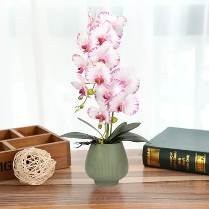 Orhidee cu aspect natural in ghiveci ceramic, 80 cm, Naimeed D6904, Roz/Verde